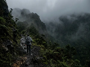 Cruise Passenger Found Dead After Vanishing on Island Hike