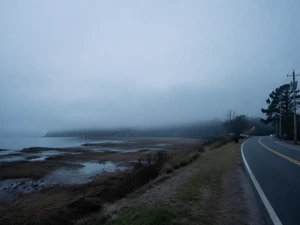 Gilgo Beach Killer Rex Heuermann Pleads Guilty to 8 Murders