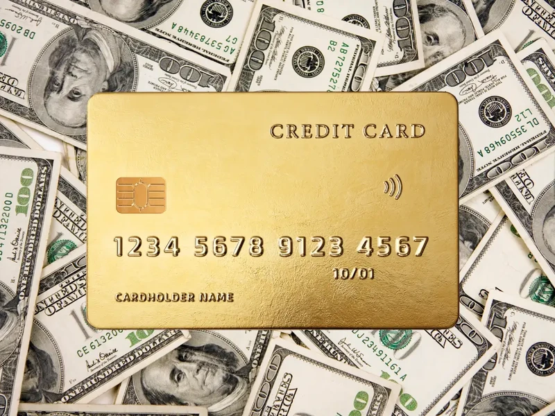 These Cash Back Cards are Turning Heads