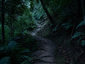 Hawaii Doctor Convicted in Wife's Birthday Hike Attack