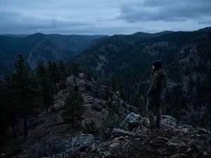 Missing Lab Worker's Remains Found in New Mexico Forest