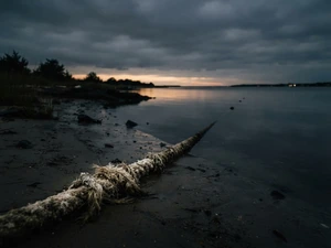 Nolan Wells' Friends Left Horn Island Without Him. His Family Wants Answers.