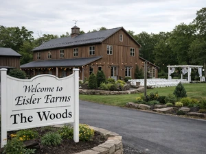Pennsylvania Wedding Guest Charged After Punching Bride In The Face