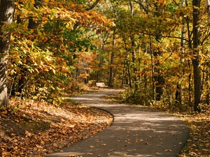 Walking Daily Cuts Dementia Risk by 25%